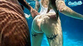 Горячая Подростковая Любительница Трахнута ББК Под Водой! Какое Дикое Катание!