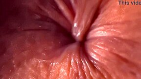 Догги-стайл крупным планом с макро-линзой показывает каждую деталь.