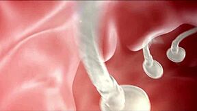 Hamile Lauryn Mae, Kız Arkadaşın Sıcak Annesi, İçine Boşalma İçin Biner