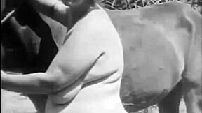 Dark Lantern Entertainment Unveils Beauty and the Beast in Retro Hairy Action