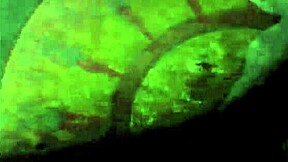 Винтажное эротическое искусство с волосатой пиздой и ретро вибрациями, что будоражит эмоции